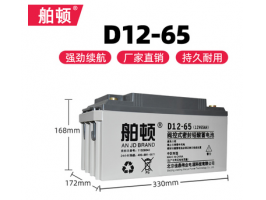 舶顿蓄电池D12-65