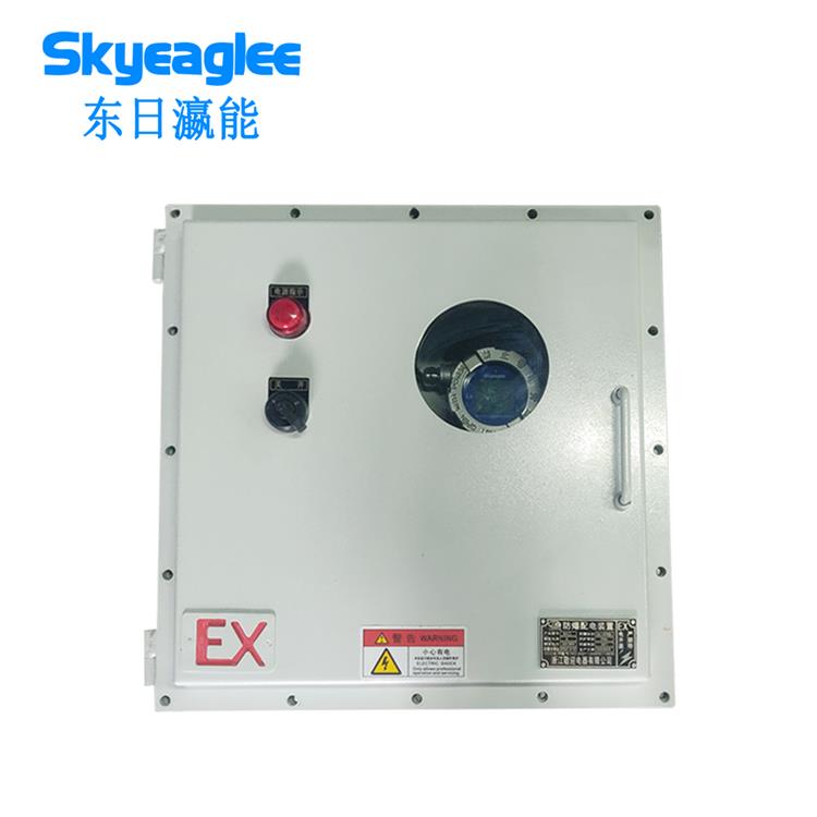 东日瀛能-SK-7500Y系列-RCO管道氢气在线检测预处理系统