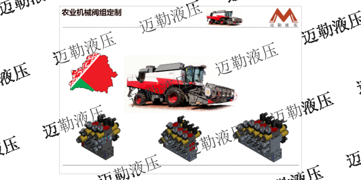 宁夏试验机阀组厂家 非标定制 上海迈勒液压技术供应
