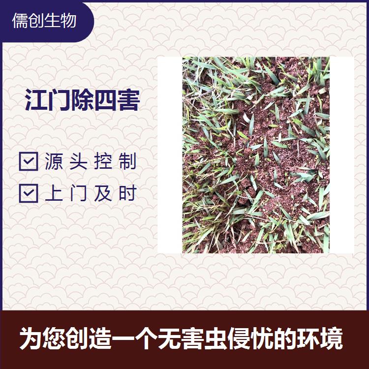 廣州市滅蟑螂 方便快捷 因地制宜地給出處理方案