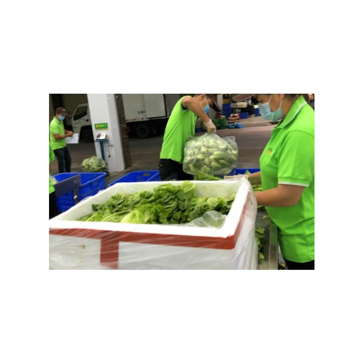 清远市食堂配送蔬菜服务公司 大型蔬菜批发市场_饭堂食材配送服务