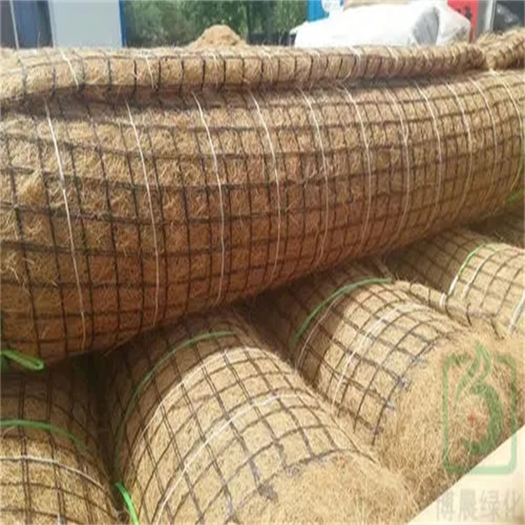护坡绿化 抗冲生物毯 环保草毯 加筋草毯工程建设材料