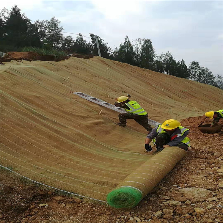 植生毯 环保草毯 厂家供应 椰丝绿化草毯边坡治理防护工程