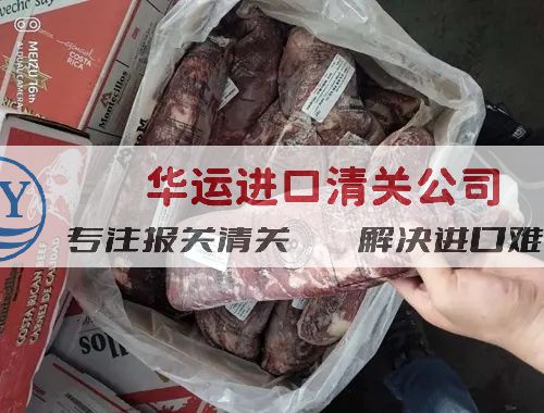 牛肉干報關代理公司推薦 凍肉進口物流方案推薦