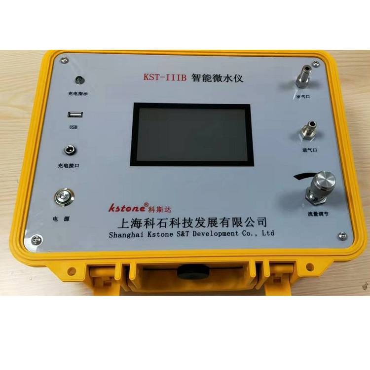 供应DP-300 露点仪 微量水分测试仪 带微型打印机 科斯达
