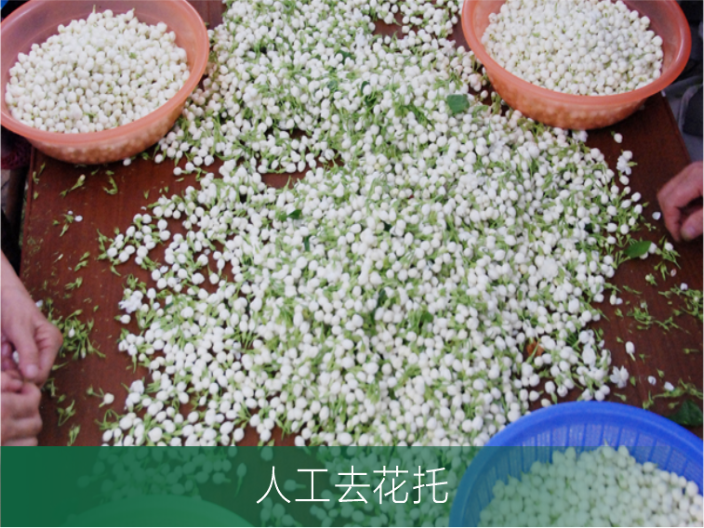 全国植物原料纯露OEM 广州原渡生物科技供应