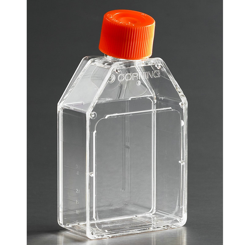 康宁Corning25长方形斜颈细胞培养瓶430168带密封盖