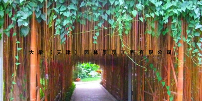 淄博园林树木养护公司 大象园林景观工程供应