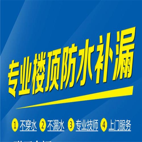 东丽区地下室防水注浆 外墙防水施工 蜘蛛人上门