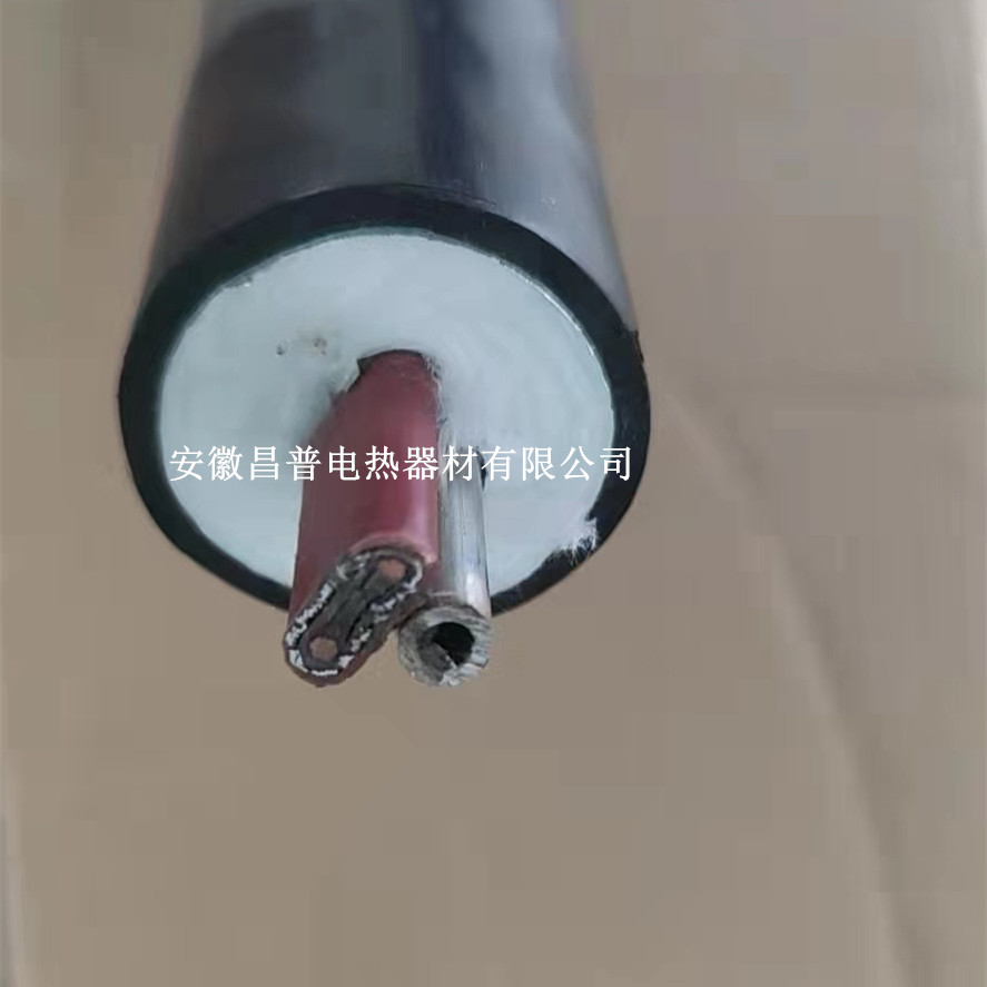 安徽昌普专业生产复合伴热管线KLG-PTFE-D42-40/60W-160°伴热管线FHT-D42-B2-&8*5