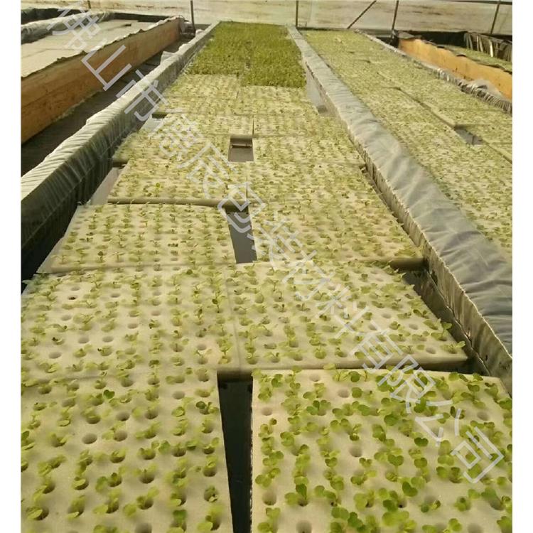 无土栽培蔬菜种植绵 深圳温室种植定植海绵
