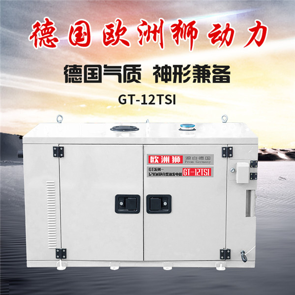 8KW柴油发电机GT-950TSI别墅备用
