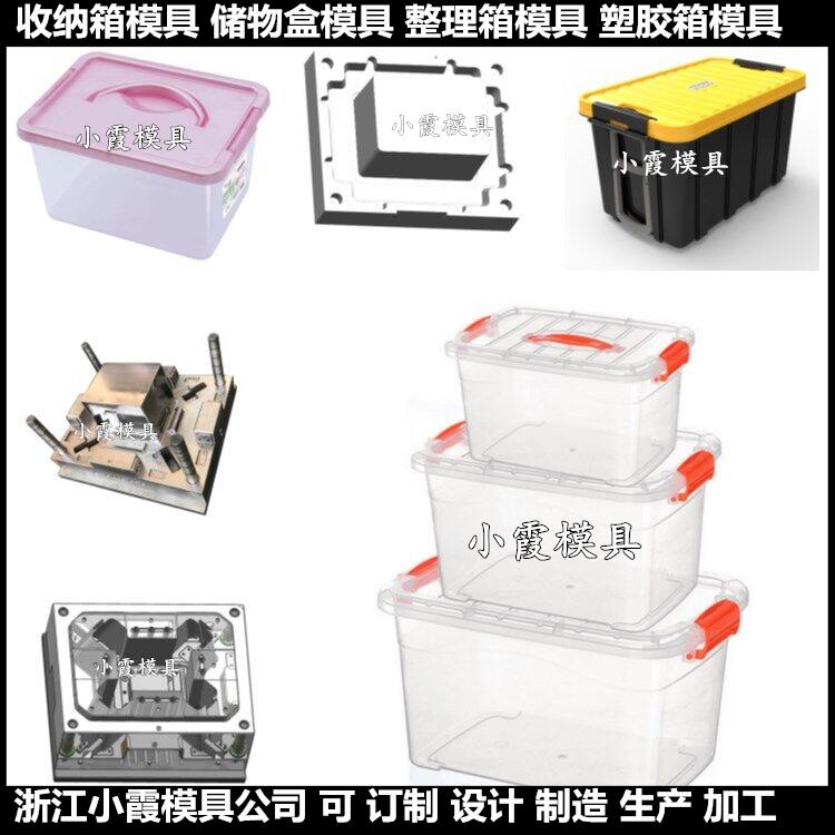 PP塑胶冷冻箱子模具