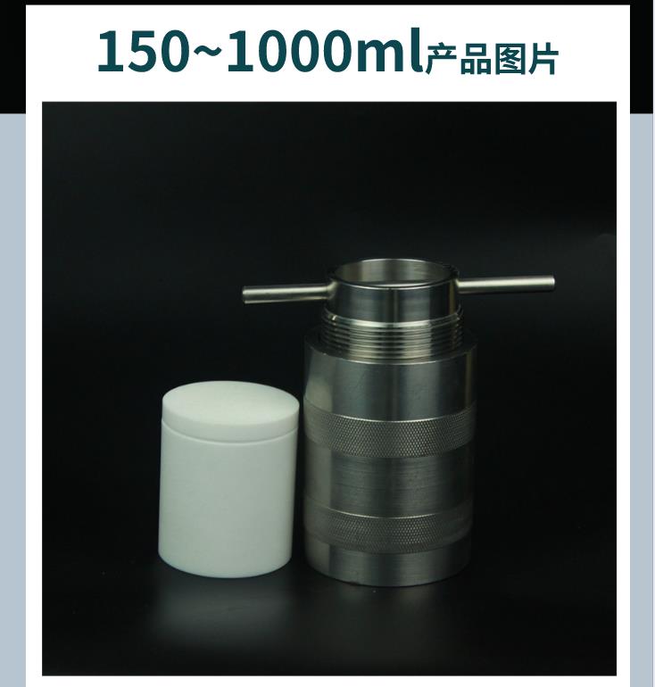瑞尼克科技纳米材料反应罐