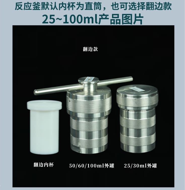 南京瑞尼克纳米材料水热合成反应釜30ml