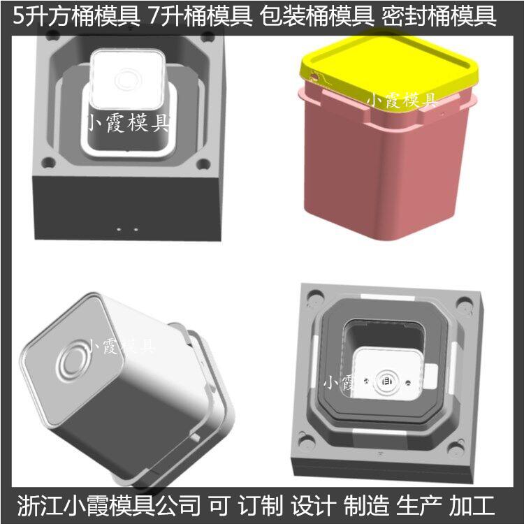 台州塑胶模具 18L胶水桶塑料模具