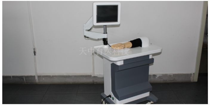 天津国产脉象模拟仪 值得信赖 天中育医科技供应