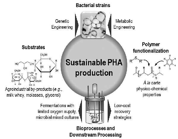 赛德斯威为您介绍新兴的生物可降解塑料/生物基材料-聚羟基脂肪酸酯PHA