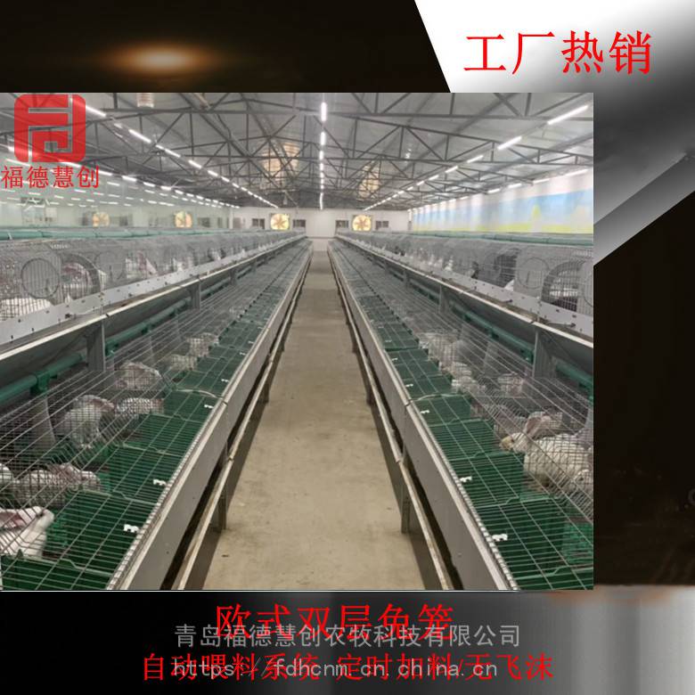 繁育兔笼24笼位自动喂料种兔笼具 全新欧式兔笼工厂批发