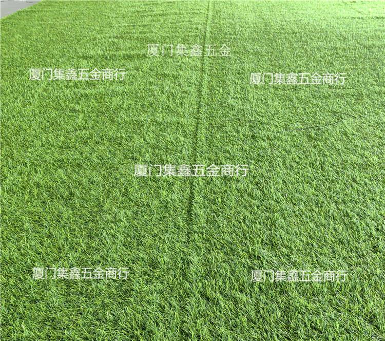 宁德绿草皮工程草坪1.0 1.5 2.0 3.0草坪地毯建筑地毯草坪