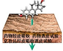 药物皮肤吸收渗透性试验与滞留率 药物透皮试验 药物皮肤渗透试验 药物猪皮透皮试验 药gao经皮透皮试验 化妆品透皮试验 化学品透皮性安全评估 药物代谢学试验