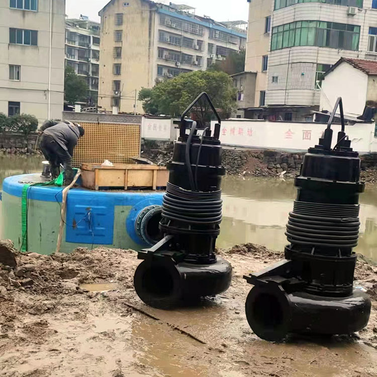 台州自吸污水泵