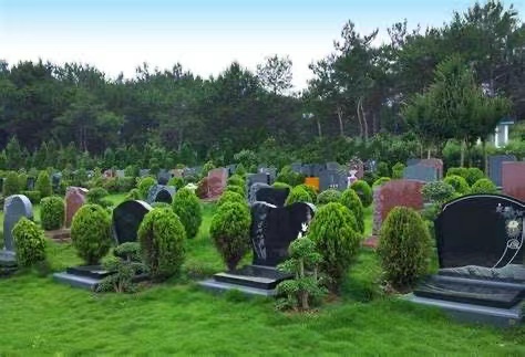 蔡甸区公墓服务公司