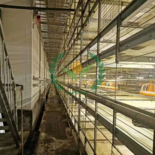 河南鸡笼厂加工自动化养鸡设备肉鸡笼