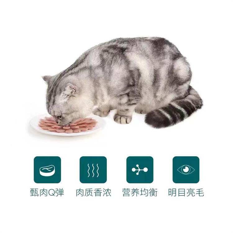 通用型营养宠物火腿肠 训练常备猫咪火腿肠 一件代发