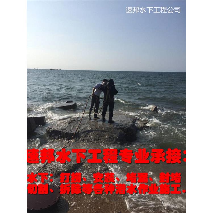 重庆水下测量公司 防水堵漏施工队