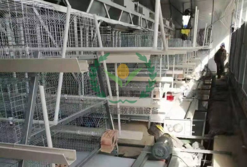 鸡笼清粪机 阶梯式鸡笼清粪机 养鸡设备清粪机厂家
