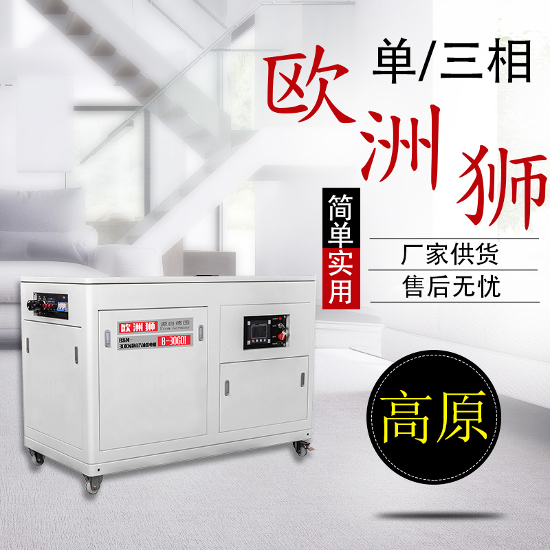 额定功率​汽油发电机20KW