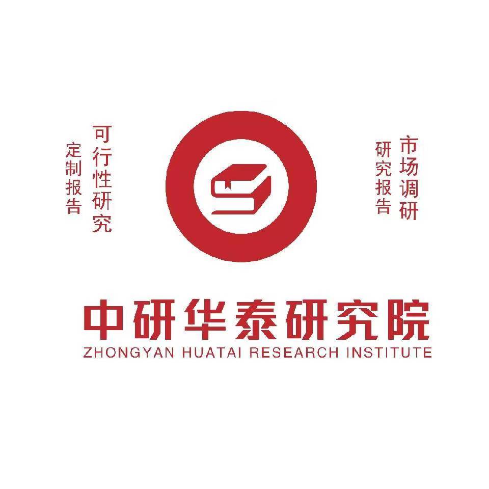 中国芯片用电子化学品市场现状调查与投资发展策略分析报告2024-2030年