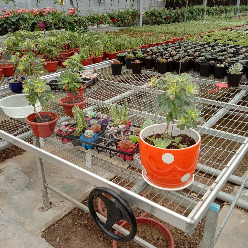 航迪 智能大棚 花卉养殖 手摇式移动苗床 种植架
