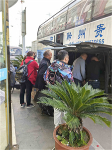 客运/如皋到丘北营运汽车/2023发车时刻表查询