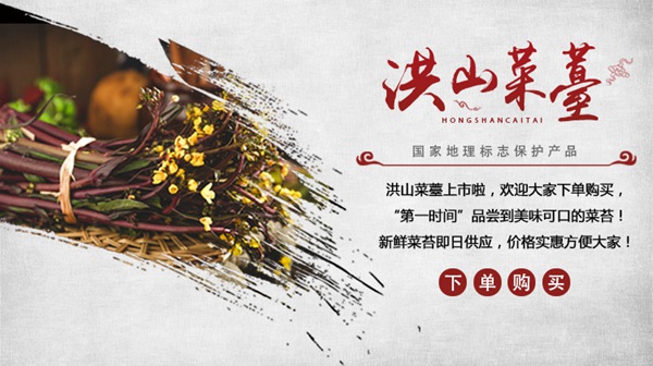 武汉洪山菜苔的赞美诗词 洪山菜苔是国家产品