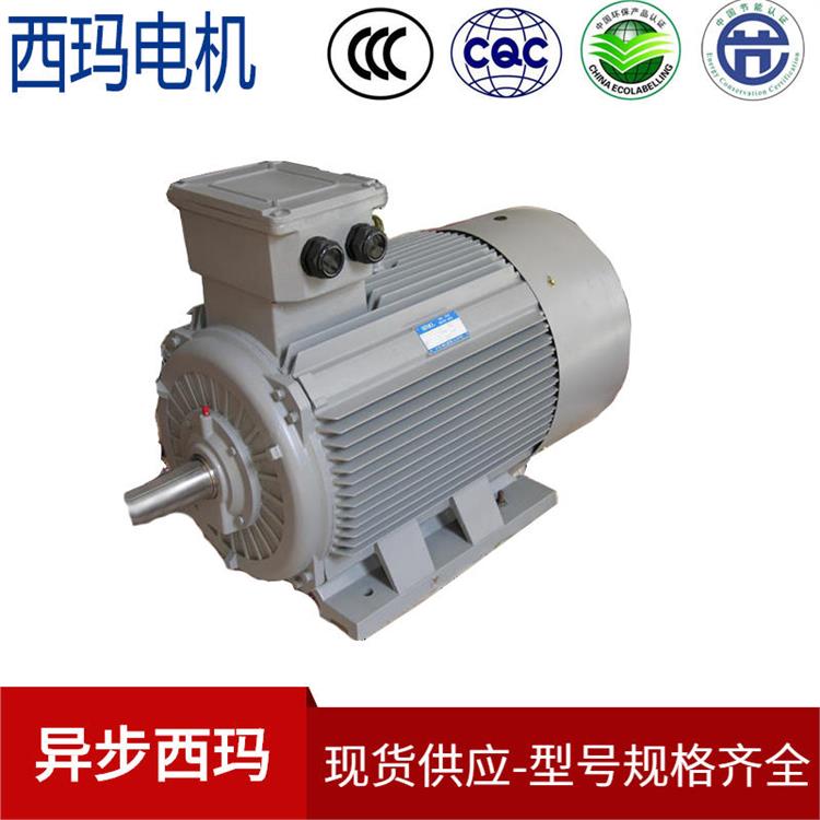 YE5-200L-4/30KW_消防水泵电机_IP54防护等级
