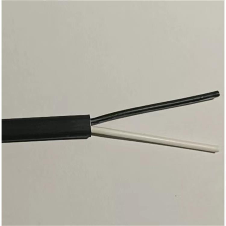 宿迁德标汽车电线电缆厂家 FLRY-A/FLRY-B 薄壁PVC绝缘低压电线