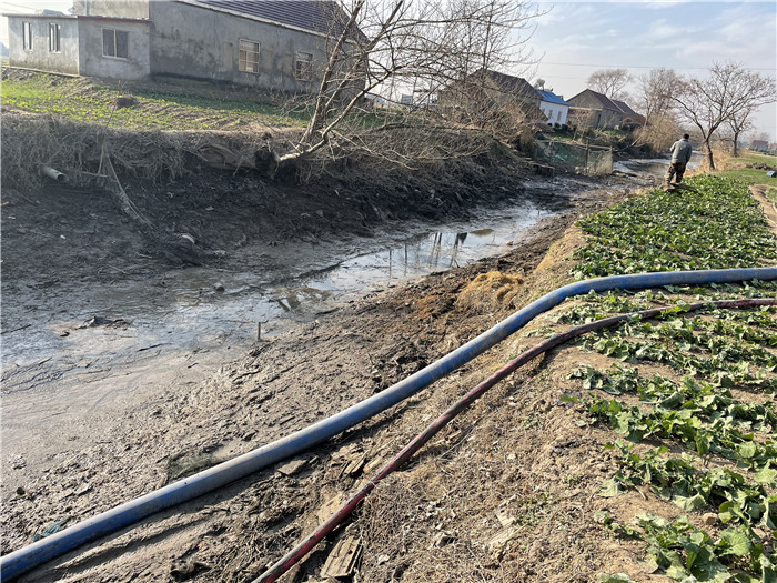 重金属污染土壤治理：生物法，后浪的洪荒之力