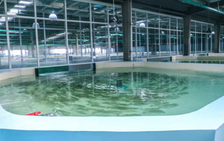渔业养殖水水质检测机构，广东养殖水第三方检测中心