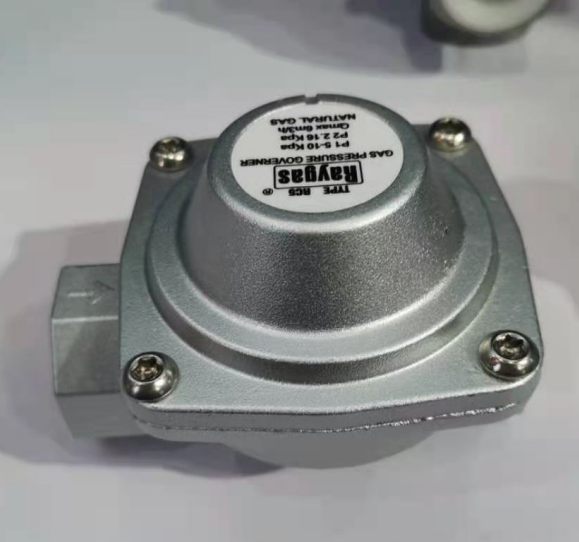 天津瑞盖斯 进口燃气设备 RC5调压器 调压阀 可定制