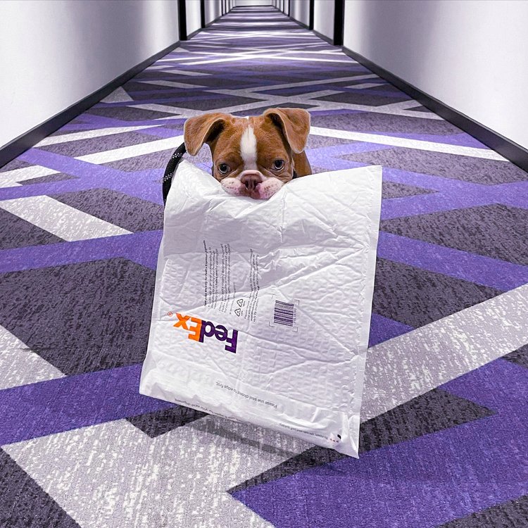 南浔区FedEx国际快递网点 南浔联邦快递电话查询