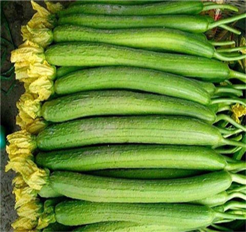 黄江镇蔬菜批发市场 新鲜农产品