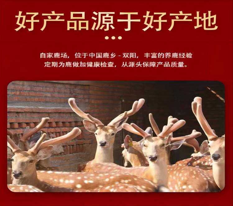 养护女性乳腺鹿角帽