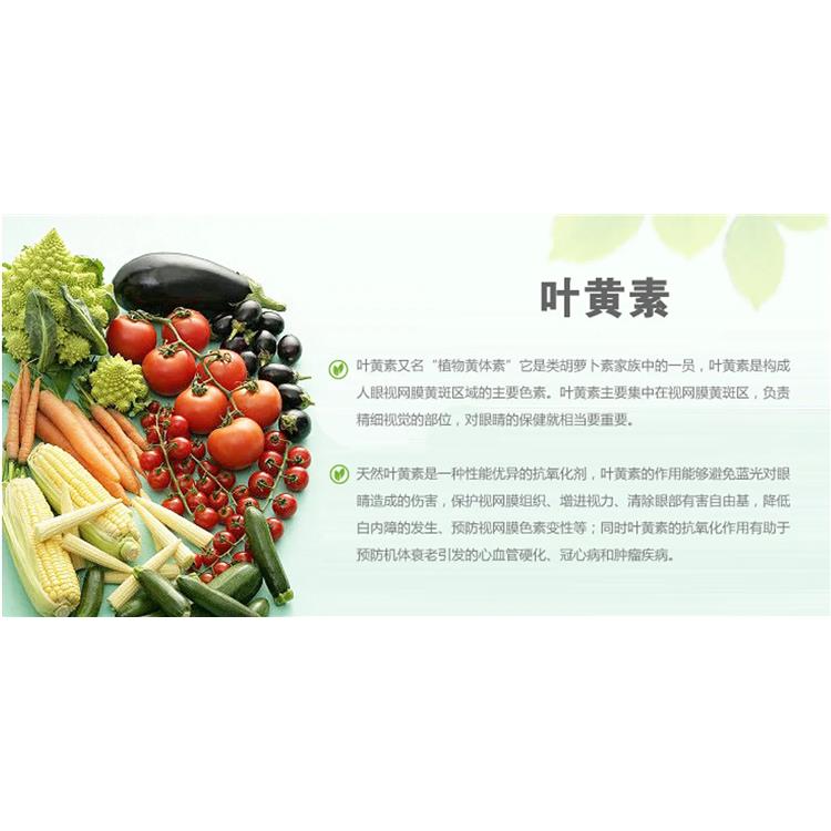 上海法国进口叶黄素酯滴剂报关代理 工厂食品注册号申请流程