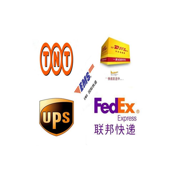 上海UPS快递货物报关流程 服务周到