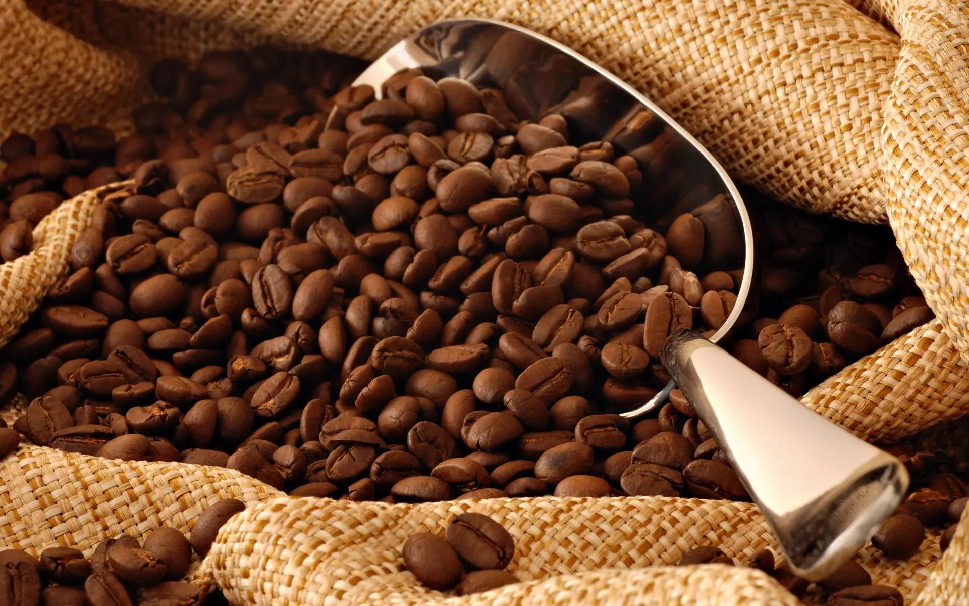 巴西咖啡粉进口