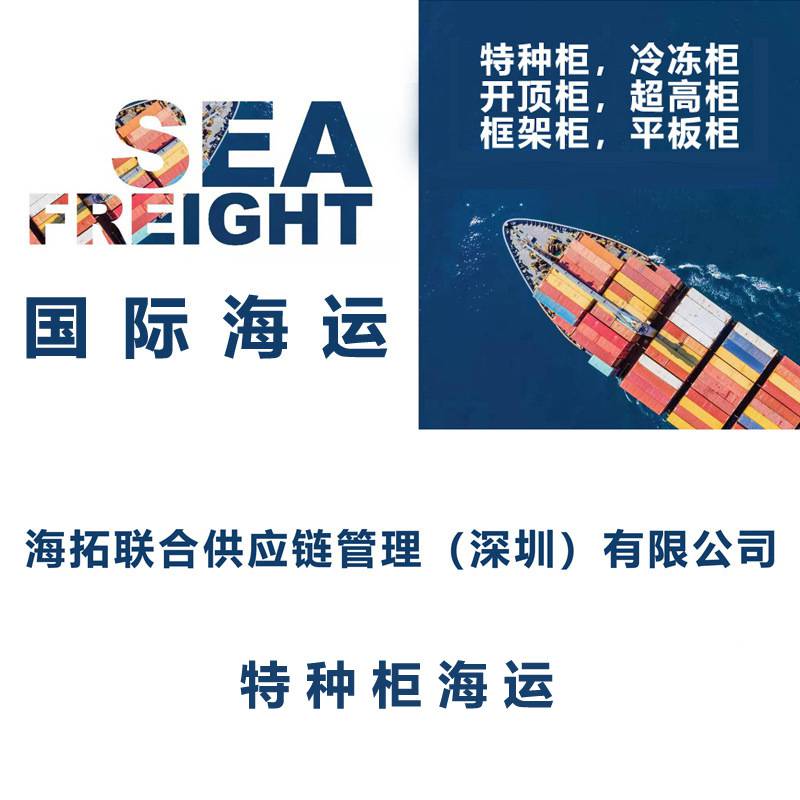 上海到欧洲 海运**大件运输海运快船双清包税特种柜集装箱运输