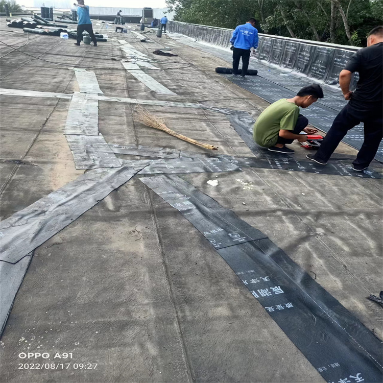 武清區(qū)地下室防水