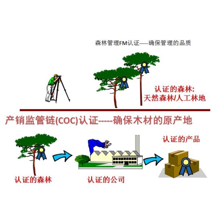 银川FSC认证条件-森林管理体系认证-顾问协助 材料方便